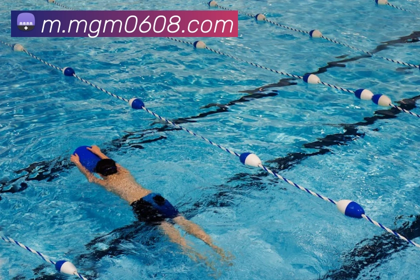 美高梅官网平台生态图