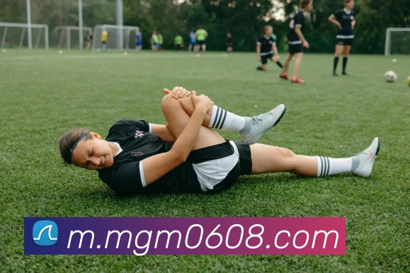 美高梅官网全站App